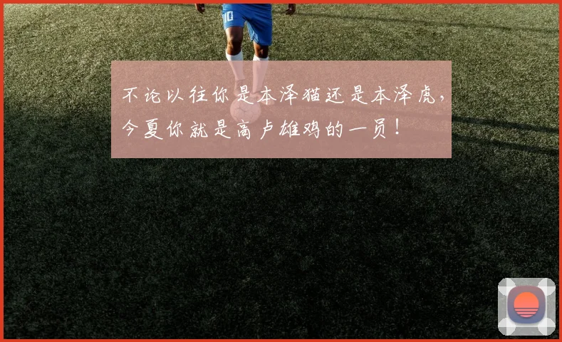 不论以往你是本泽猫还是本泽虎，今夏你就是高卢雄鸡的一员！