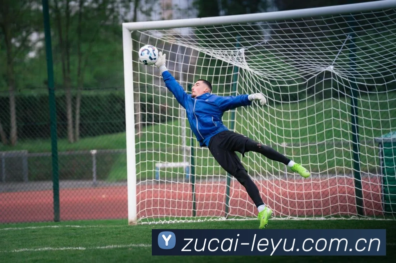 乐鱼体育平台生态图