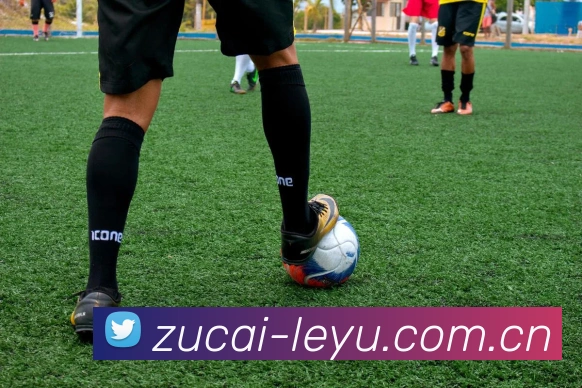 数据防护可视化